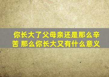 你长大了父母亲还是那么辛苦 那么你长大又有什么意义